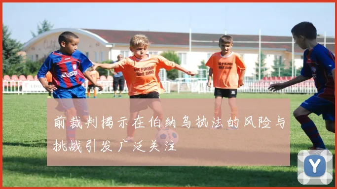 前裁判揭示在伯纳乌执法的风险与挑战引发广泛关注