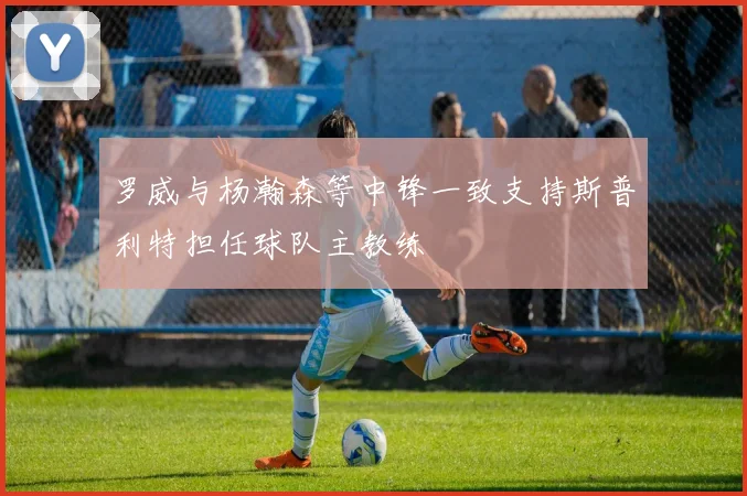 罗威与杨瀚森等中锋一致支持斯普利特担任球队主教练